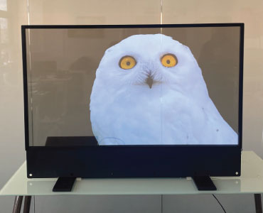 Desktop / Freestanding